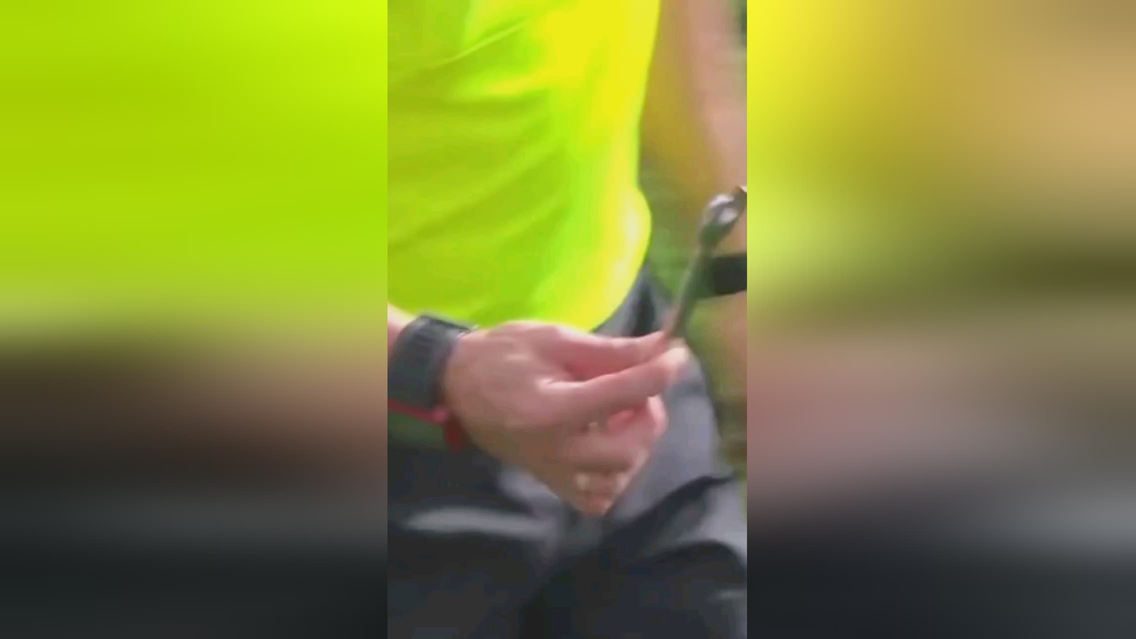 些能够在